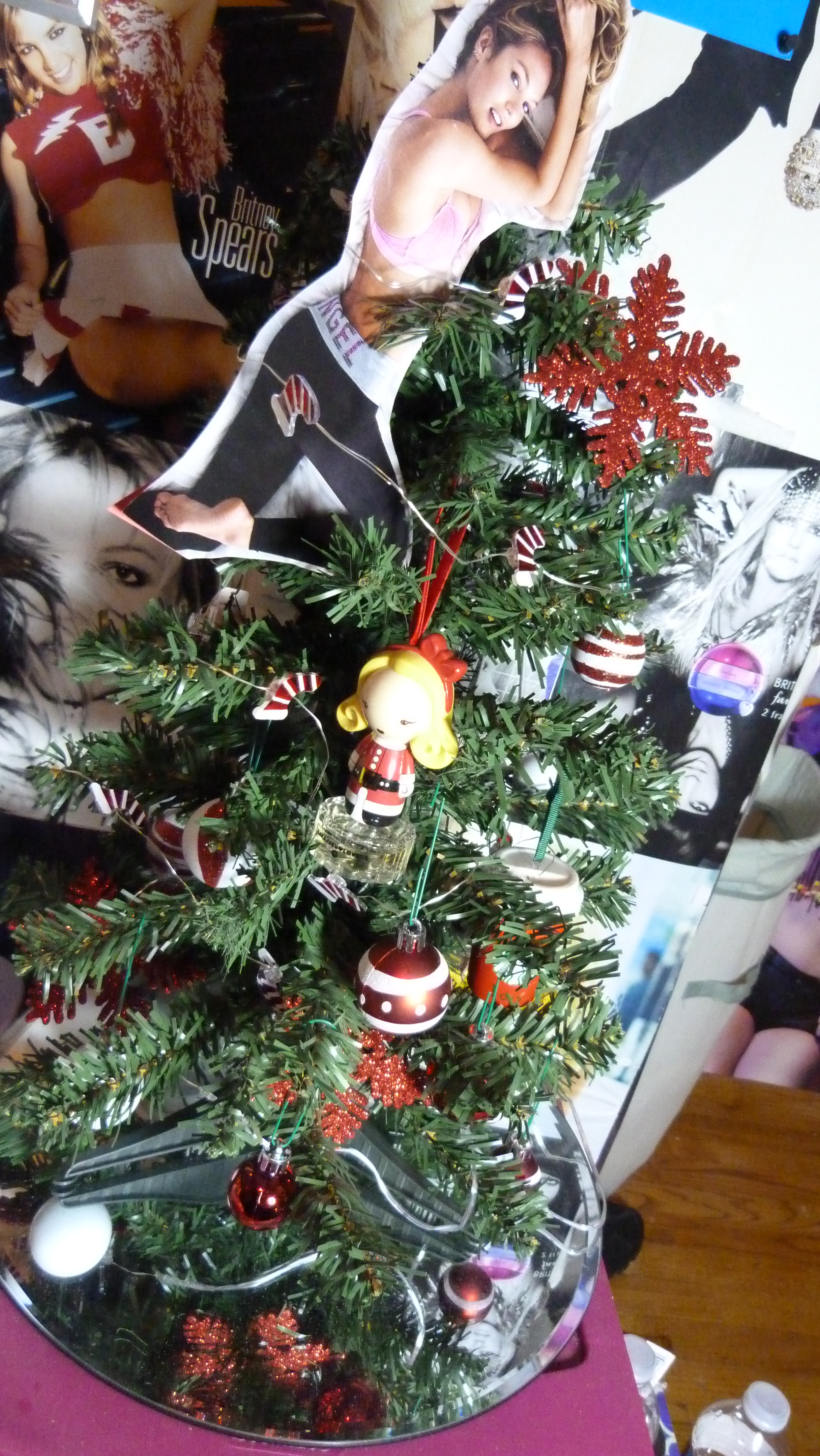 10 One Tree, Lots of Me (9)